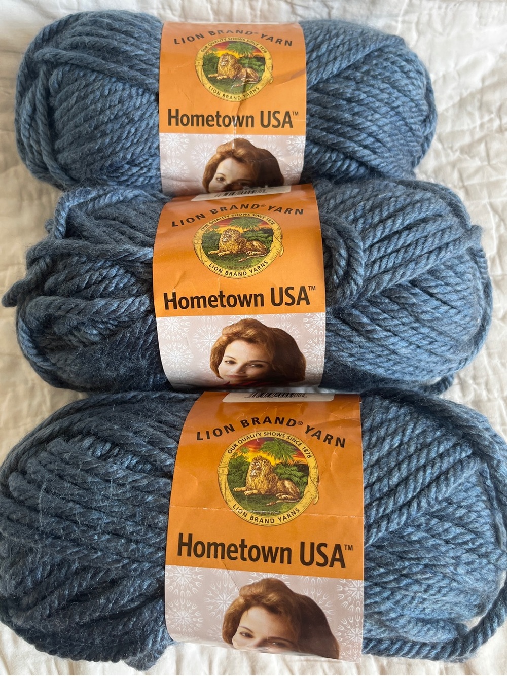 x3 Skein Bundle LION BRAND YARN HOMETOWN USA Washington Denim Blue Acrylic NEW